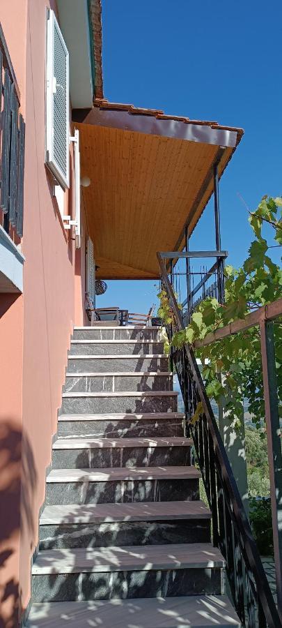 House In Zaloggo Villa Preveza Exterior photo